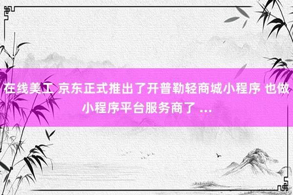 在线美工 京东正式推出了开普勒轻商城小程序 也做小程序平台服务商了 ...