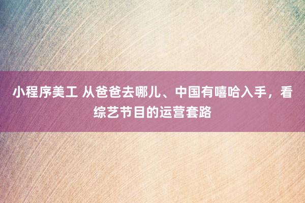 小程序美工 从爸爸去哪儿、中国有嘻哈入手，看综艺节目的运营套路