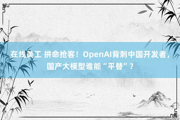 在线美工 拼命抢客！OpenAI背刺中国开发者，国产大模型谁能“平替”？