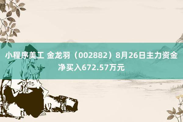 小程序美工 金龙羽（002882）8月26日主力资金净买入672.57万元